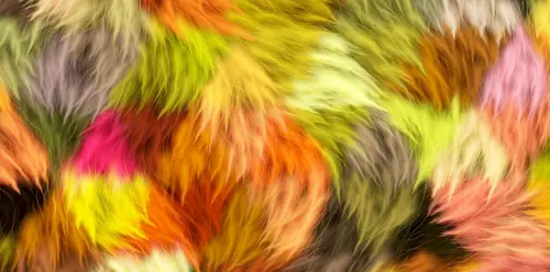 Lehrgespräch zur Ausbildereignungsprüfung: fragend-erarbeitende Methode